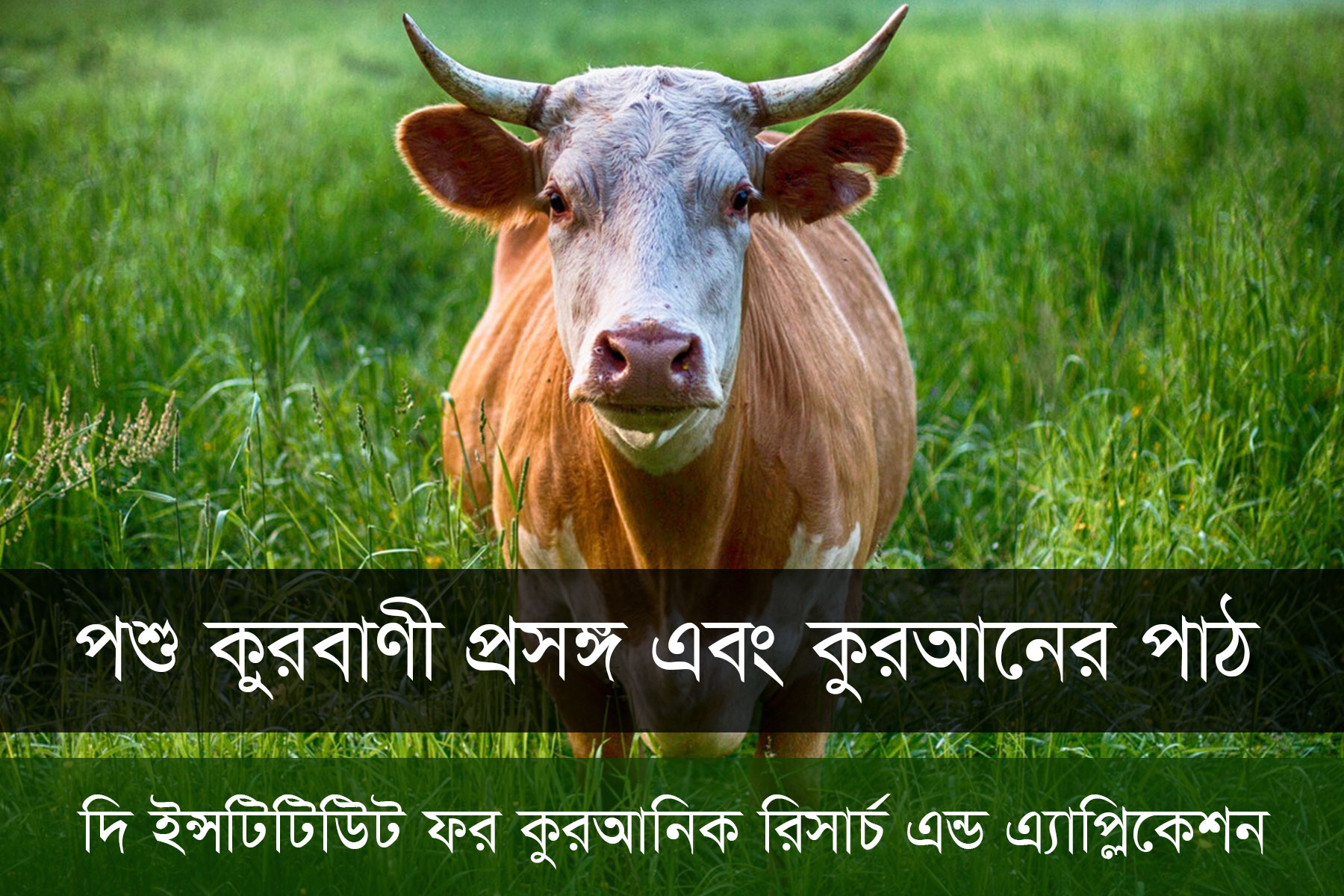 Qurbani in Quran
